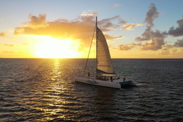 Dîner Catamaran Majorque